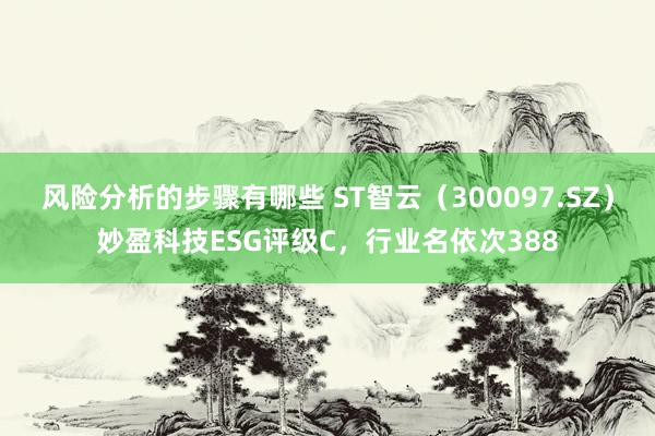 风险分析的步骤有哪些 ST智云（300097.SZ）妙盈科技ESG评级C，行业名依次388