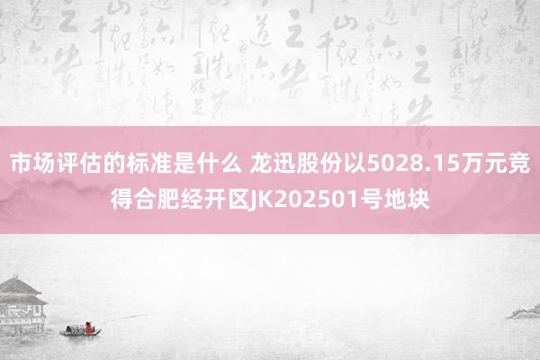 市场评估的标准是什么 龙迅股份以5028.15万元竞得合肥经开区JK202501号地块