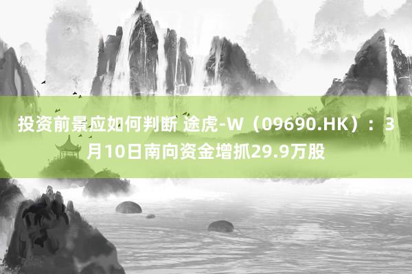 投资前景应如何判断 途虎-W（09690.HK）：3月10日南向资金增抓29.9万股