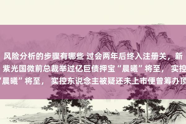 风险分析的步骤有哪些 过会两年后终入注册关，新恒汇IPO“胎动”背后：紫光国微前总裁举过亿巨债押宝“晨曦”将至， 实控东说念主被疑还未上市便曾筹办顶格减持！