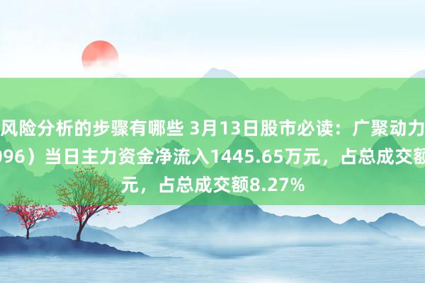 风险分析的步骤有哪些 3月13日股市必读：广聚动力（000096）当日主力资金净流入1445.65万元，占总成交额8.27%