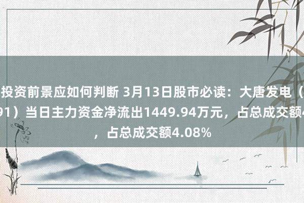 投资前景应如何判断 3月13日股市必读：大唐发电（601991）当日主力资金净流出1449.94万元，占总成交额4.08%