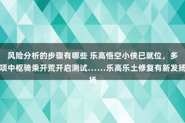 风险分析的步骤有哪些 乐高悟空小侠已就位，多项中枢骑乘开荒开启测试……乐高乐土修复有新发扬