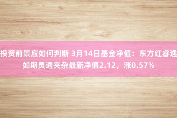 投资前景应如何判断 3月14日基金净值：东方红睿逸如期灵通夹杂最新净值2.12，涨0.57%