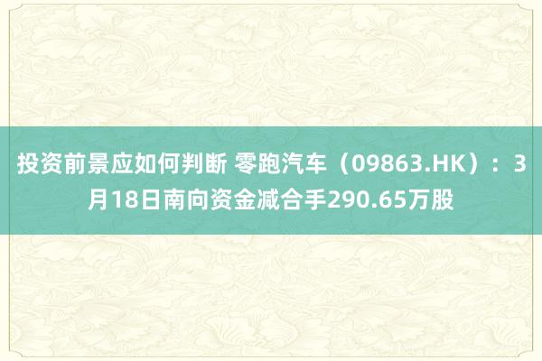 投资前景应如何判断 零跑汽车（09863.HK）：3月18日南向资金减合手290.65万股